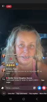 Border Horse Slaughter Rescue 2