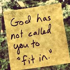 Quotes About Fitting In 223 Quotes