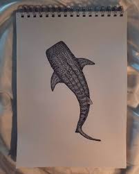 Saw someone post their whale shark drawing, so I thought I'd share mine  too! : r/marinebiology