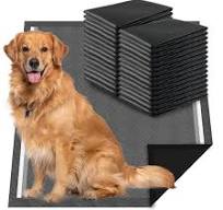 Charcoal Dog Pee Pads Extra Large 28“x34”, Puppy Pads XL 30 Count, Potty  Pads for Dogs, Disposable Urine Bed Pads for Odor-Control, X-Large Piddle  ...