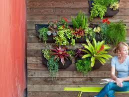 Many succulents don't add one to your windowsill or living space for some unique decor. Small Space Gardening How To Garden Anywhere Sunset Magazine