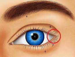 Mein Auge Tut Sehr Wehhh Was Ist Damit Los Schmerzen Augen