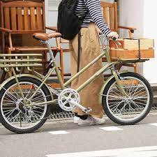 roke 6 speed cargo bike in color sepeda