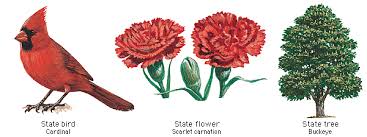 Ohio State Bird Flower And Tree
