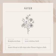 Pin By Ellen Vegter On Galleria Xo In 2020 Aster Flower Tattoos Birth Flower Tattoos Flower Tattoos