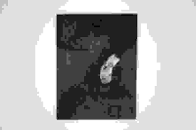 Bildergebnis für Simone Lacour