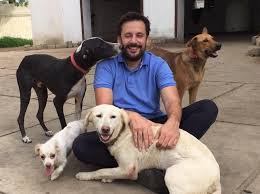 Petco's welcome to the family new pet parent starter guide provides new pet parents substantial benefits with hundreds of dollars worth of coupons for everything a new pet needs. Tipu Sharif S Adopted Dogs Poisoned To Death In Karachi