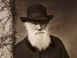 Documents similar to natural selection webquest 2. Charles Darwin Student Webquest