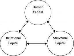 An example is the knowledge that. The Phenomenon Of Intellectual Capital In Community Non Profit Orchestras Polyphonic Archive Institute For Music Leadership