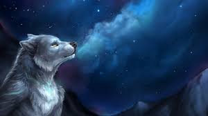 Blotch the dog is a book written for children beteween the age of 3 to 15 years old. White And Golf Wolf Wallpaper Furry Anthro Wolf Hd Wallpaper Wallpaper Flare