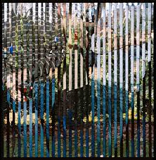 Artist raffaella carr à passed away on july 5, 2021 at age 78 the italian failed to overcome a lung cancer that was reportedly suffering for quite some time. Mind Bending Vertical Strips Of Alternating Images