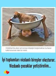 Tarif Icin Sitemizi Ziyaret Ediniz Yemek Yemektarifi Yemektarifleri Nefiyemektarifleri Yemek Tarifleri Yemek Genc Postlari