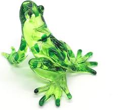 Image result for glass frog