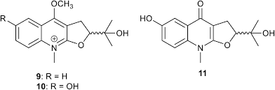 Image result for Vepris bremekampii