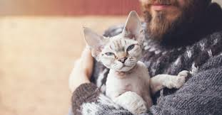 Here's how to adopt a cat, from experts on the subject, and what to consider first. Rehoming Your Cat Rehome By Adopt A Pet Com