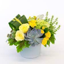 15% off & free shipping. Allen S Flowers Plants San Diego 339 Photos 423 Reviews Florists 620 Market St San Diego Ca Phone Number Yelp