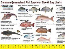 Queensland Fishing Guide Decal 105cm Long Ruler Sticker For Boat Transom