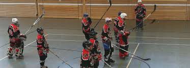 Link uses the king of red lions to travel the great sea, and the king gives advice to link while on their travels. Inline Hockey Club Red Lions Home