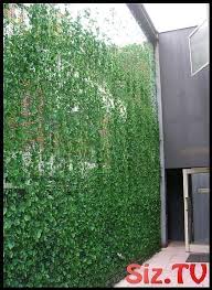 Gartenterrasse Balkon Sichtschutz 68 Ideen Gartenterrasse Balkon Sichtschutz 2020 Arka Bahce Gizlilik Balkon Bahceciligi On Bahceler