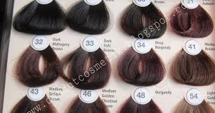 Jelaskan yang dimaksud dengan ekologi. Kreasi Model 31 Cat Rambut Revlon Warna Coklat