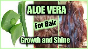 It is super soothing and has been used for centuries for its this is because using this fresh aloe will make your serum spoil faster. How To Apply Aloe Vera For Hair Growth Natural Shine Stop Hair Loss Use Aloe Vera As Hair Serum Youtube