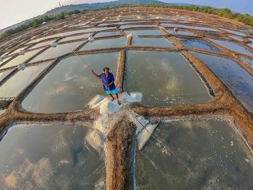 Third-Generation Salt Maker Keeps Agarwada Tradition Alive #Agarwada #SaltMakersOfGoa #TraditionalSalt #GoaHeritage #ThirdGeneration #SaltPans #GoanTraditions #IndigenousLivelihoods #CoastalGoa #SustainablePractices #CulturalLegacy #RuralGoa