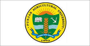 How to apply iit bombay project research assistant vacancy 2021. Job Post Graduate Assistants At Punjab Agricultural University Ludhiana 2 Vacancies Monthly Salary Rs 12k Apply By August 20 Noticebard
