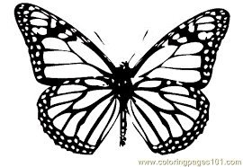 Coloring is a hobby all of us can get behind—children and adults alike! Butterfly Coloring Page 004 Coloring Page For Kids Free Butterfly Printable Coloring Pages Online For Kids Coloringpages101 Com Coloring Pages For Kids