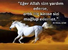 Vey C Arac Adli Kullanicinin Kuran I Kerim Qur An Panosundaki Pin Guzel Atlar Atlar Hayvan Resimleri