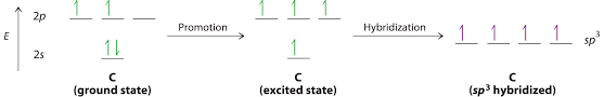 Molecular Geometry And Covalent Bonding Models