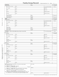 family group sheet template excel lovely ancestor pedigree