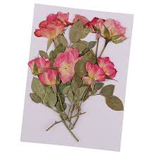 Then i use modge podge to cover the front of the card and lay the wrinkled kleenex on top. Ipotch 10 Real Dry Press Rose Bouquets Natural Dried Flowers Pressed Flower Leaves For Nails Art Craft Handmade Soap Candle Resin Jewelry Making Materials Buy Online In Bosnia And Herzegovina At Bosnia Desertcart Com