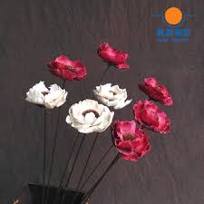 Découvrez coquelicot (17 r paré, 44000 nantes) avec toutes les photos du quartier, le plan d'accès, les avis et les infos pratiques coquelicot. Bouquets De Fleurs Sechees De Mais Coquelicot Bouquets De Pavot Et Papaver Secs Grappes De Rhoeas Et De Coquelicot 4 Pieces Aliexpress