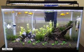 Adjust white and blue leds independently. Pin On Aquarium Plant Led Light Night