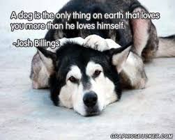 Dog Quotes Simply Stacie Dog Quotes Dog Quotes Funny Rescue Dog Quotes