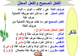 لغتي هويتي أحبها وأعتز بها Posts Facebook