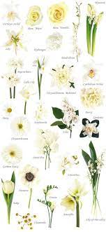 React quickly to keep a series going in this addictive color matching game. Flower Names By Color Wedding Flower Types Types Of White Flowers Flower Names