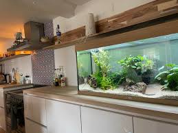 Appliances such as refrigerators, dishwashers, and ovens are often integrated into kitchen cabinetry. We Reserved A Corner For Our Aquarium In Our New Kitchen People Think I M Crazy But I Love It Aquariums