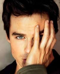 Shelves of Shirvington