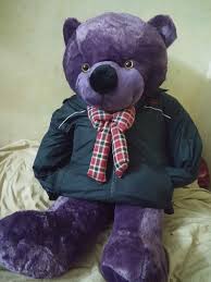 Contemporary furniture for life and work. Bear Toy Purple Dressing Up Teddy Indoors Teddy Bear One Person Piqsels