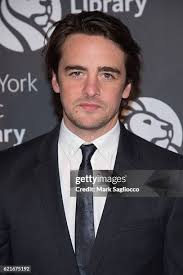 484 Vincent Lion Stock Photos, High-Res Pictures, and Images