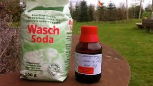 Garten Ideen Und Tipps Fur Pflanzen Garten Pflaster Reinigen Terrasse Reinigen