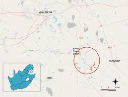 Image result for Lipocarpha rehmannii