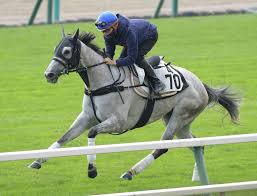 新着順 売上順 おすすめ順 マイリスト登録順 レビュー評価順 人気順 価格順. Oywumf 03suoim