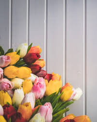 1 405 подписчиков, 1 329 подписок, 1 580 публикаций — посмотрите в instagram фото и видео the flower peddler (@flowerpeddler). The Flower Peddler Inc Home Facebook