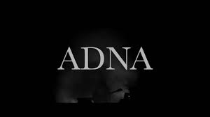 Adna&#39;s automotive repair is a full service auto repair shop that specializes in lexus, toyota, mercedes benz and more! Adna Folk Pop Germany Sweden
