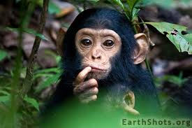 Tax preparation fees by form: how detailed?