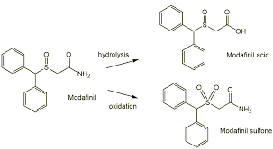 Image result for Modafinil