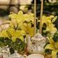 Garden Reverie - An Afternoon Tea at Calgo Gardens