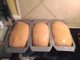 You can pick one up pretty cheap at any chain store or. Bread Slightly Sweet But Very Simple Whole Wheat Bread Bread Becker 2 Cups Hot Water 1 2 Cup Olive Oil 1 4 1 2 Instant Yeast Toastmaster Bread Machine Bread
